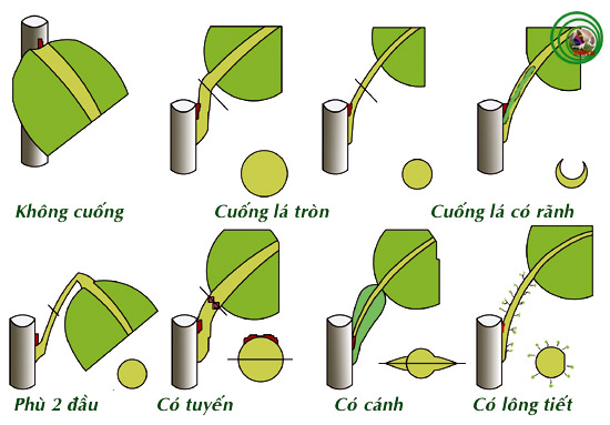 Thiết kế sân vườn, thiết kế sân vườn biệt thự, thiết kế sân vườn đẹp, sân vườn biệt thự, sân vườn sinh thái, biệt thự sinh thái, thiết kế sân vườn tiểu cảnh, thiết kế sân vườn cảnh quan, thiết kế hồ Koi, thiết kế hồ cá Koi, thiết kế hồ cá chép Nhật, thiết kế hồ cá chép rồng, thiết kế vườn treo, thiết kế vườn trên mái, thiết kế vườn nước, thiết kế vườn Nhật, thiết kế vườn khô, thi công sân vườn, thi công sân vườn biệt thự, thi công sân vườn đẹp, thi công sân vườn tiểu cảnh, thiết kế cảnh quan, thiet ke canh quan, thi công sân vườn cảnh quan, thiết kế tiểu cảnh, giếng trời, thiet ke tieu canh, gieng troi,  thi công tiểu cảnh, giếng trời,  thi công cảnh quan, thi công hồ Koi, thi công hồ cá Koi, thi công hồ cá chép Nhật, thi công vườn treo, thi công vườn trên mái, thi công vườn Nhật